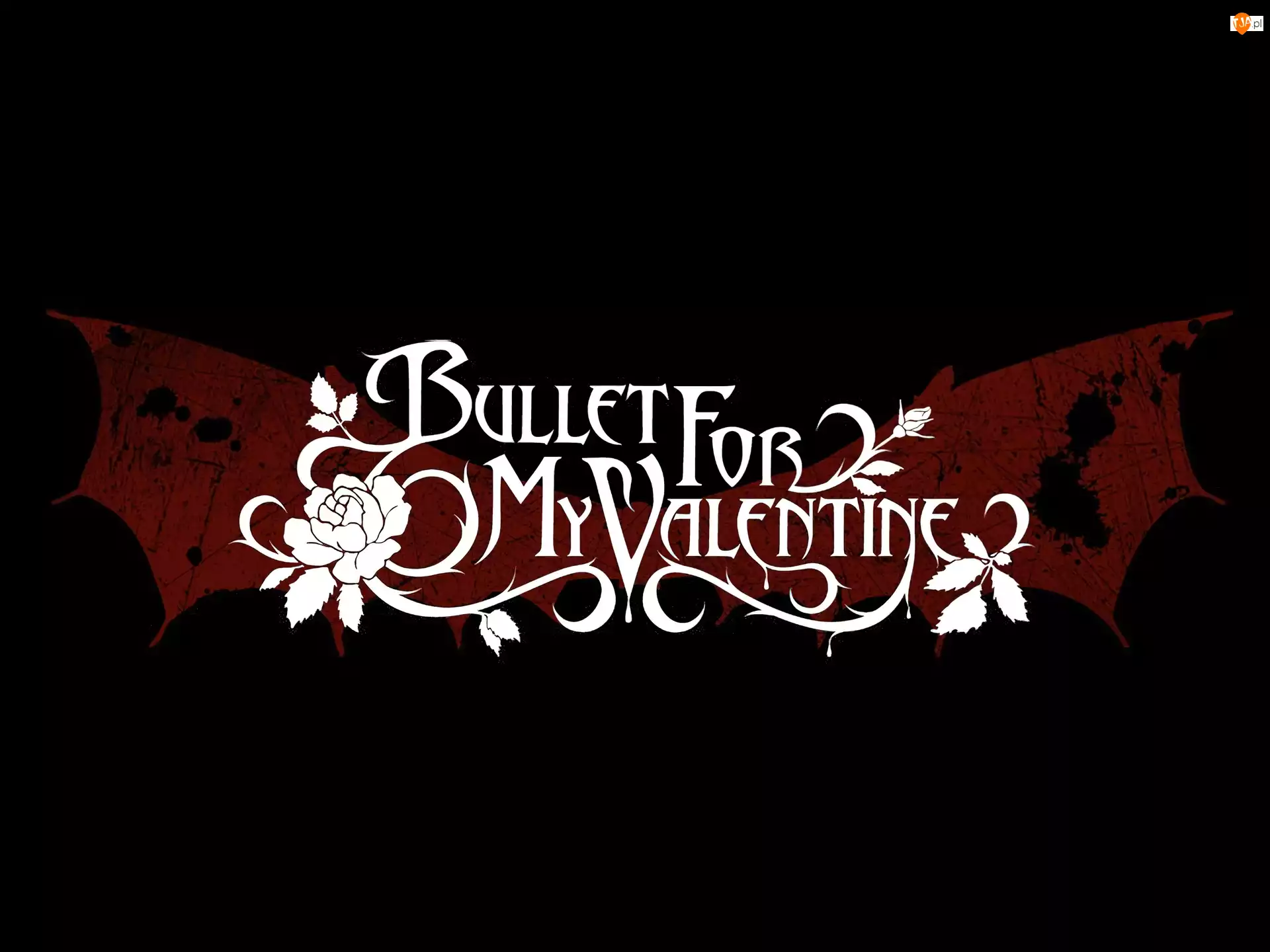 kwiatki, Bullet For My Valentine, nazwa zespołu
