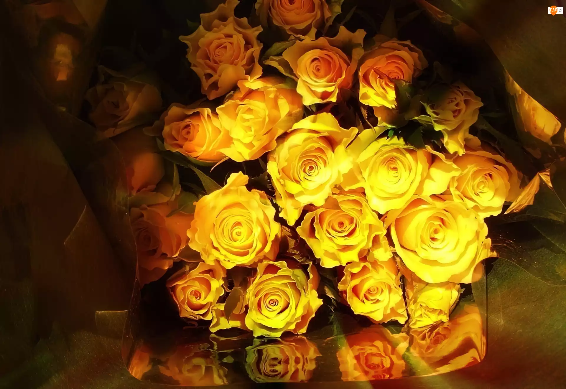 Róże, Bukiet, Żółte