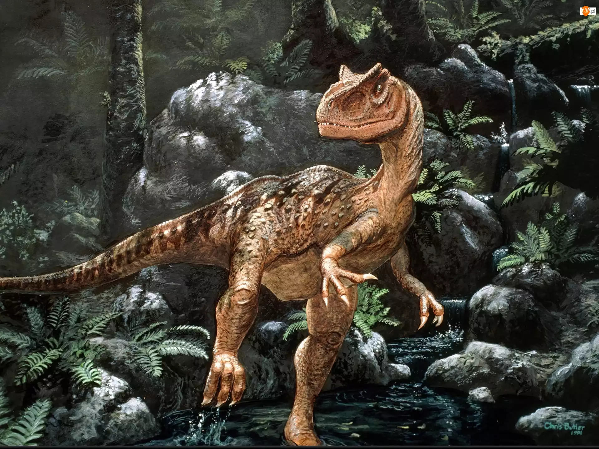 Ogon, Dinozaur