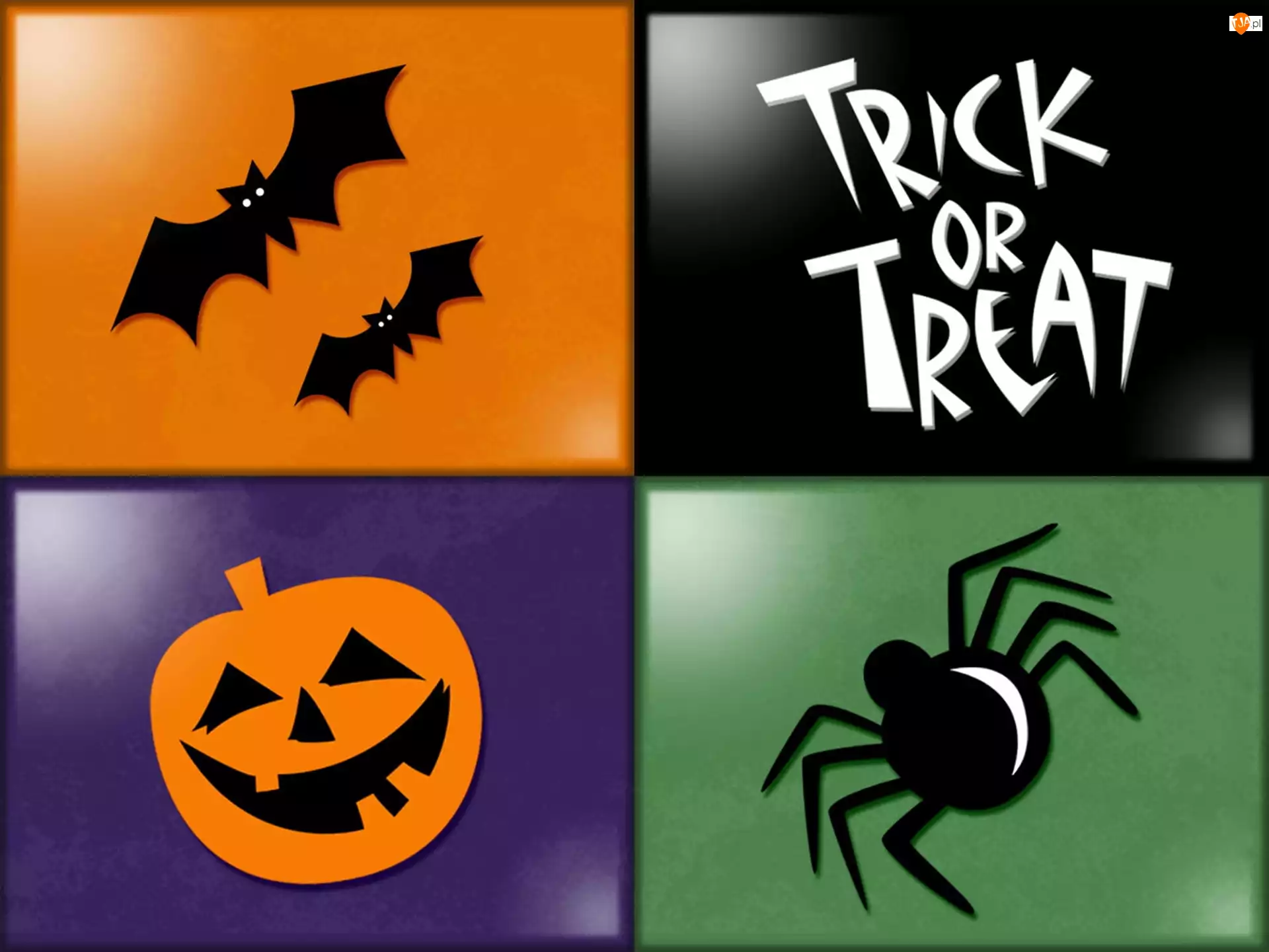 pająk, Halloween, nietoperze , dynia