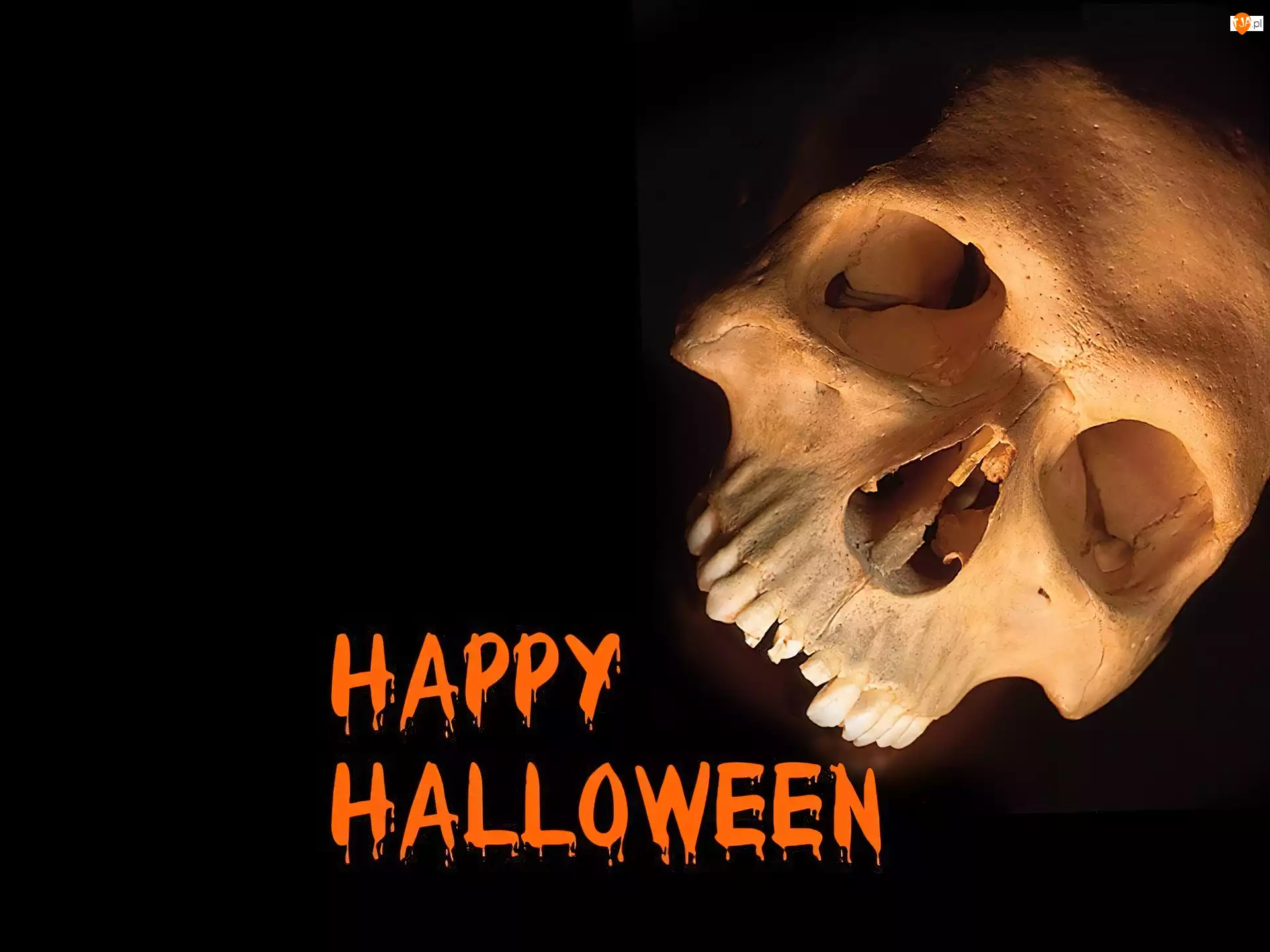 czaszka, Halloween