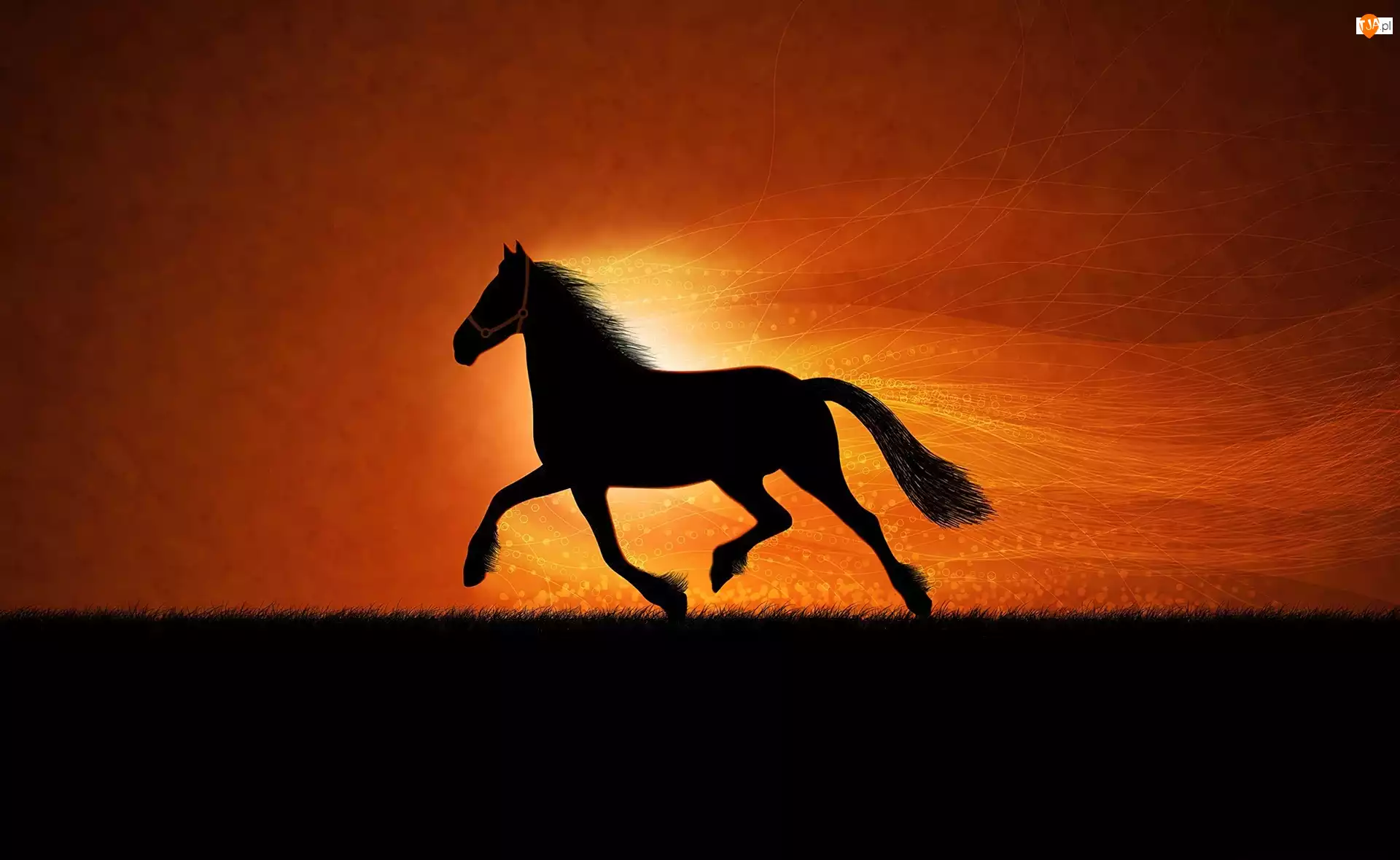 Koń, Grafika, Zachód, Słońca