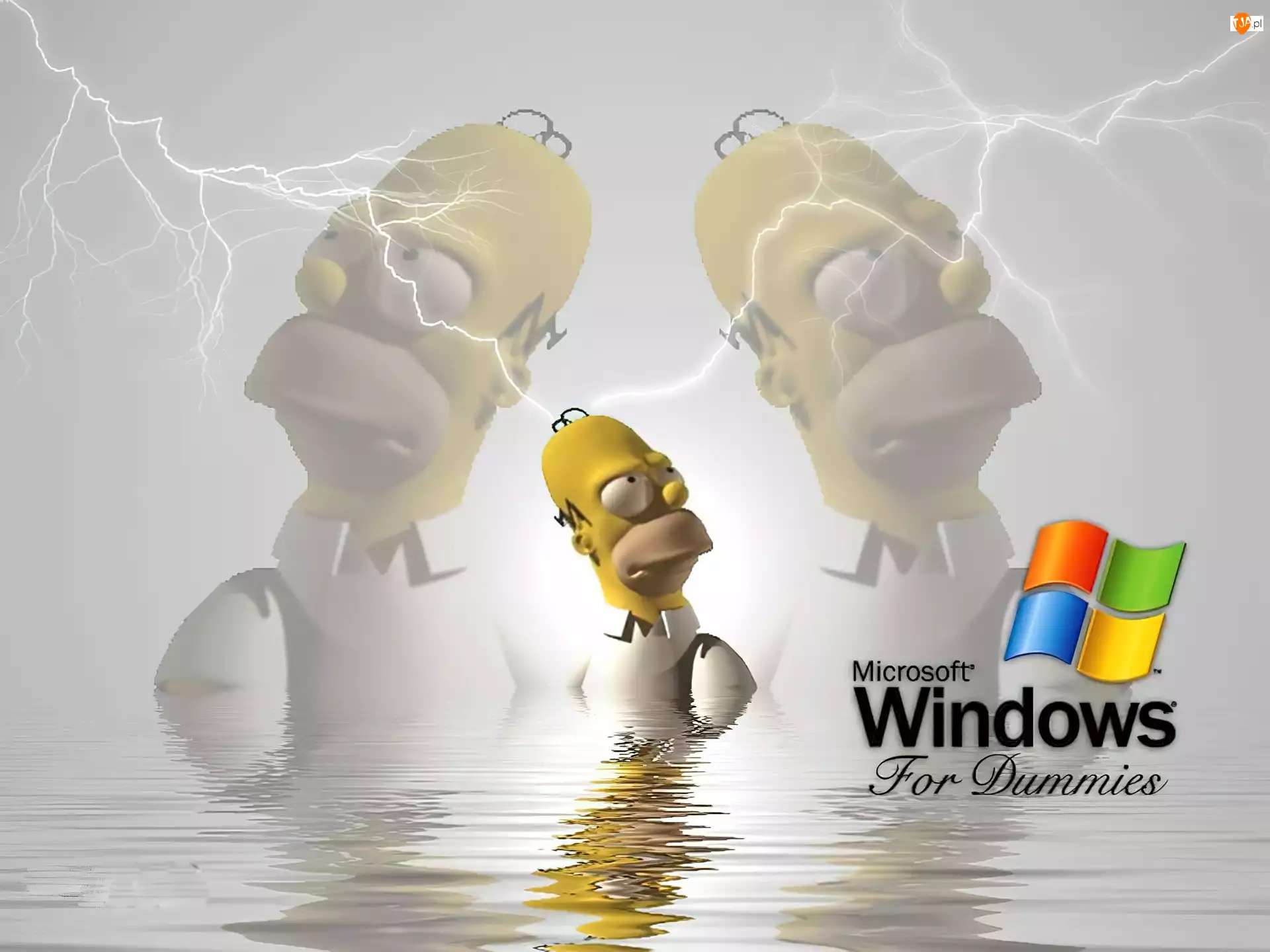 Simpson, Windows, Homer