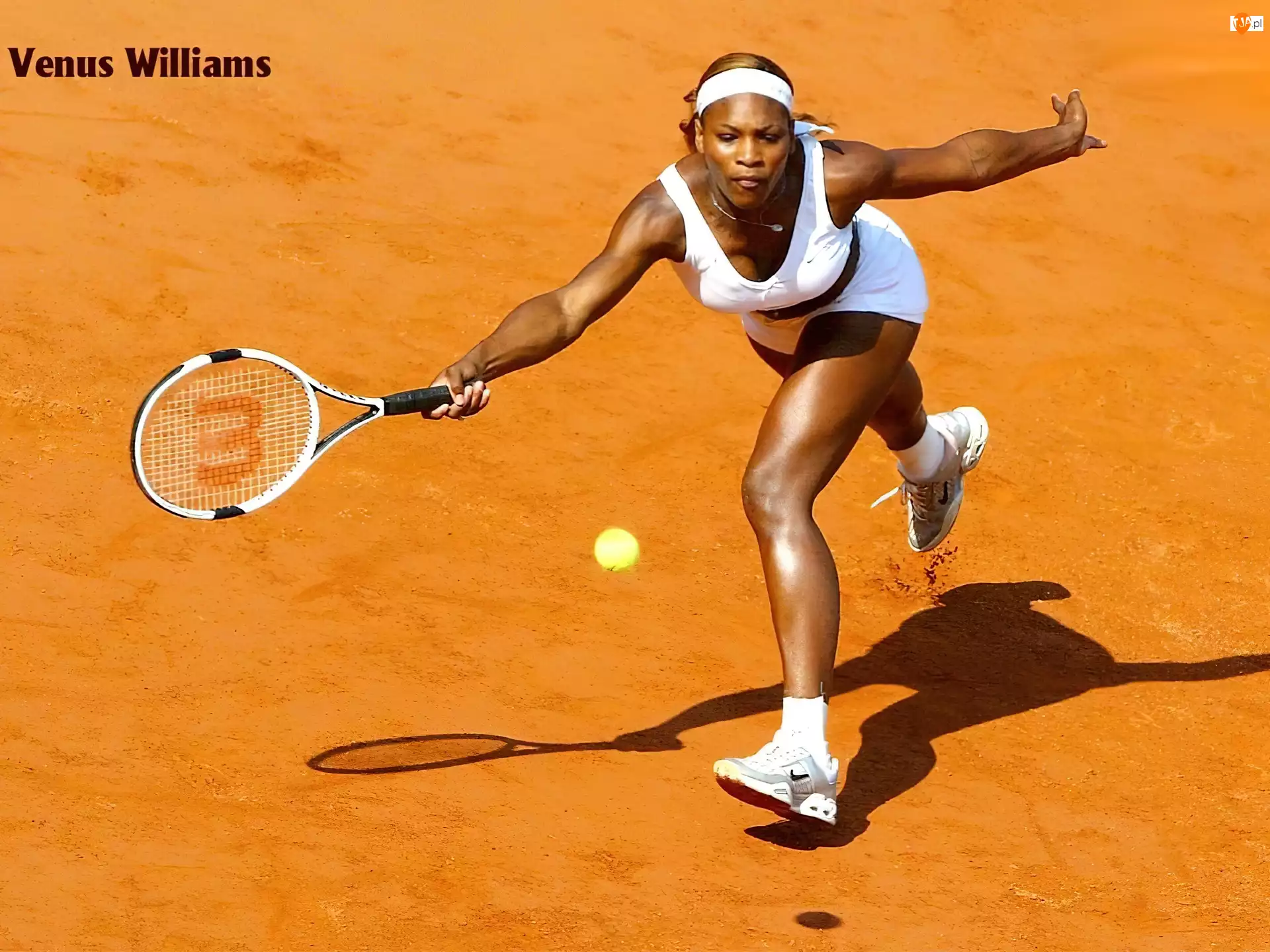 Venus Williams, Tennis