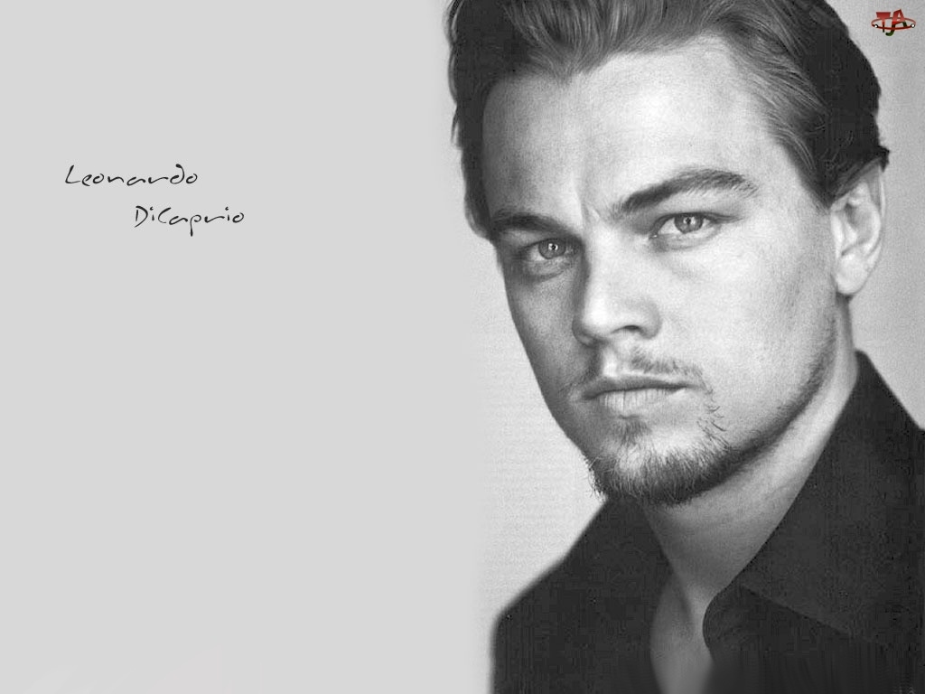 bródka, Leonardo DiCaprio