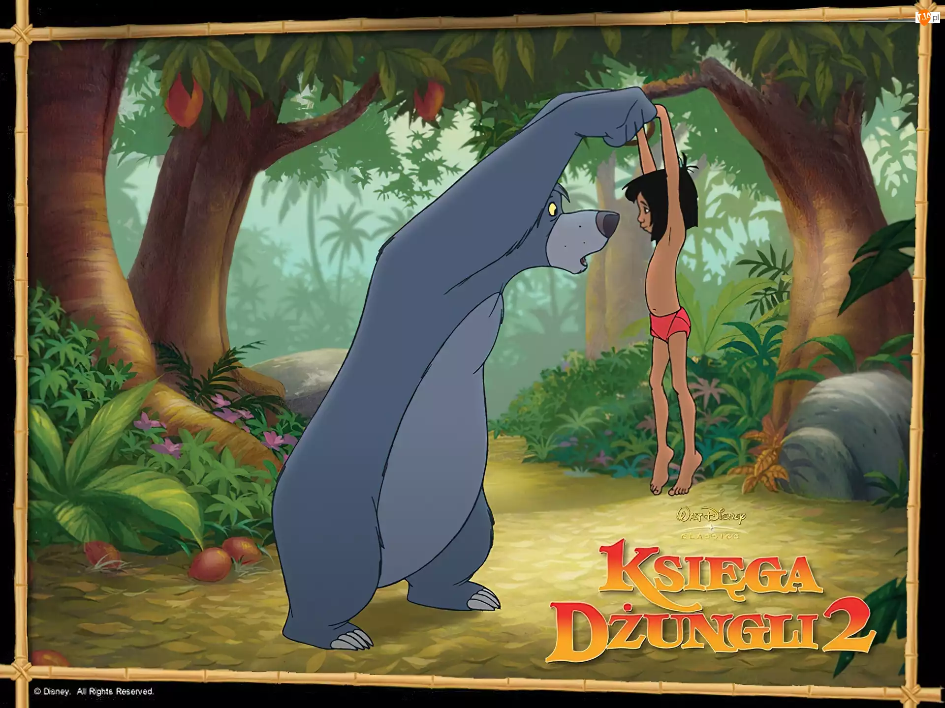 The Jungle Book 2, Baloo, Księga Dżungli 2
