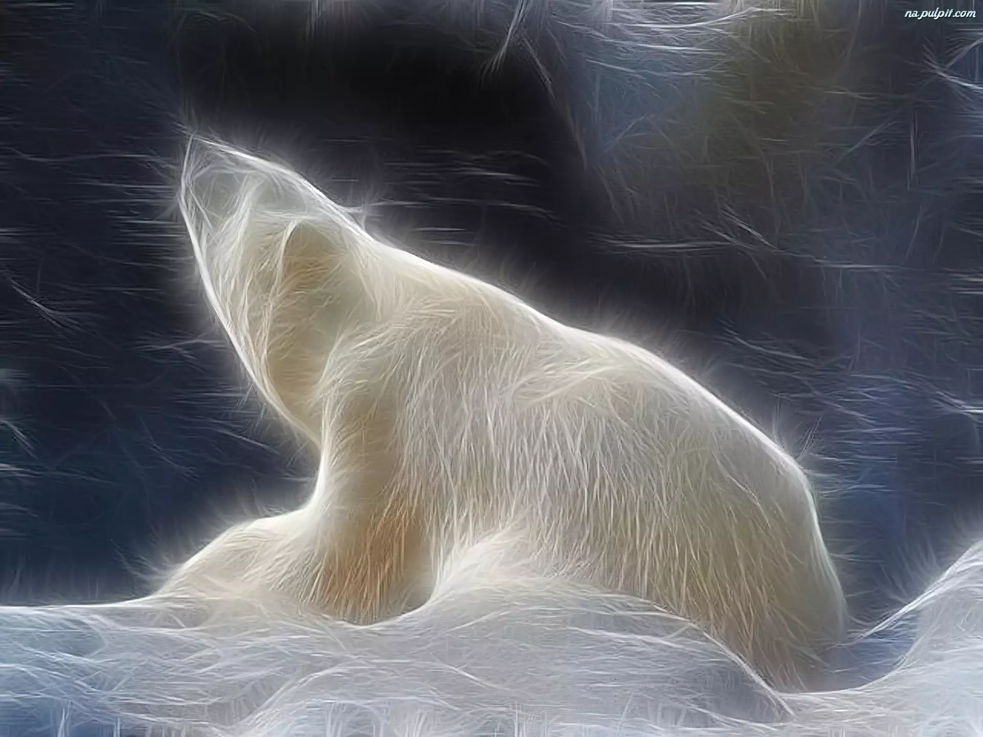 3D, Niedźwiedź, Polarny