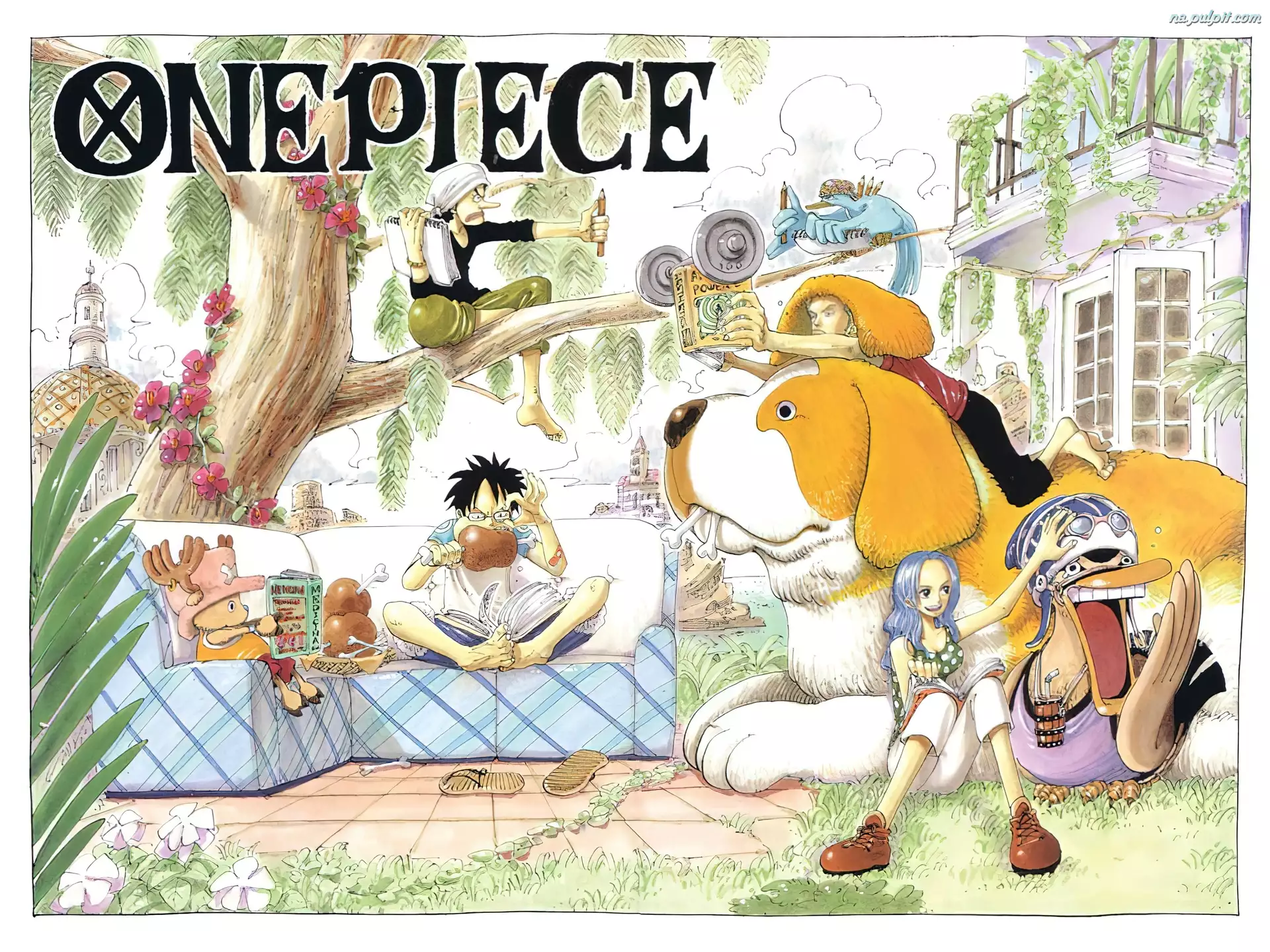 kanapa, One Piece, pies, ludzie