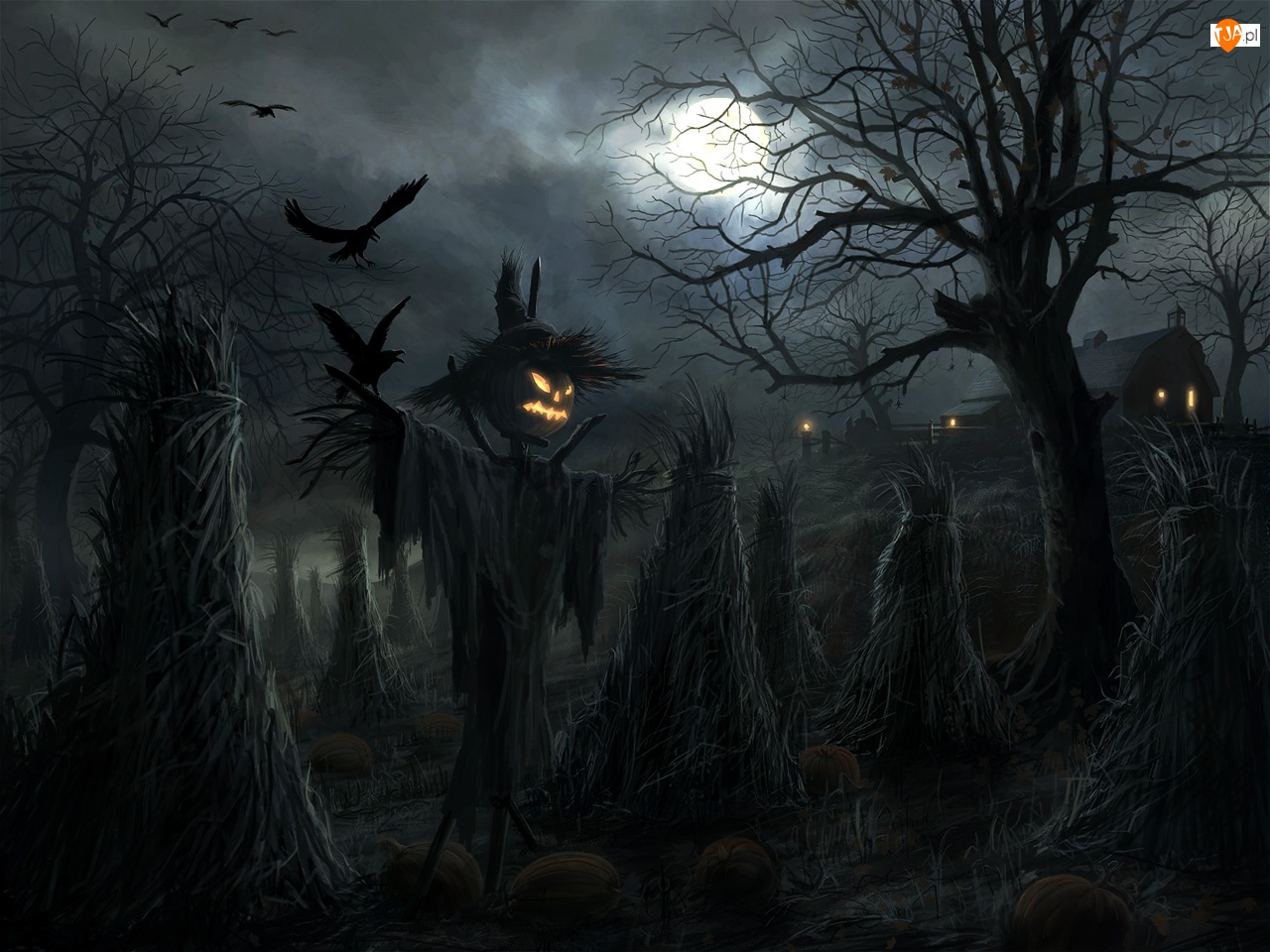 Halloween, Chochoły, Strach