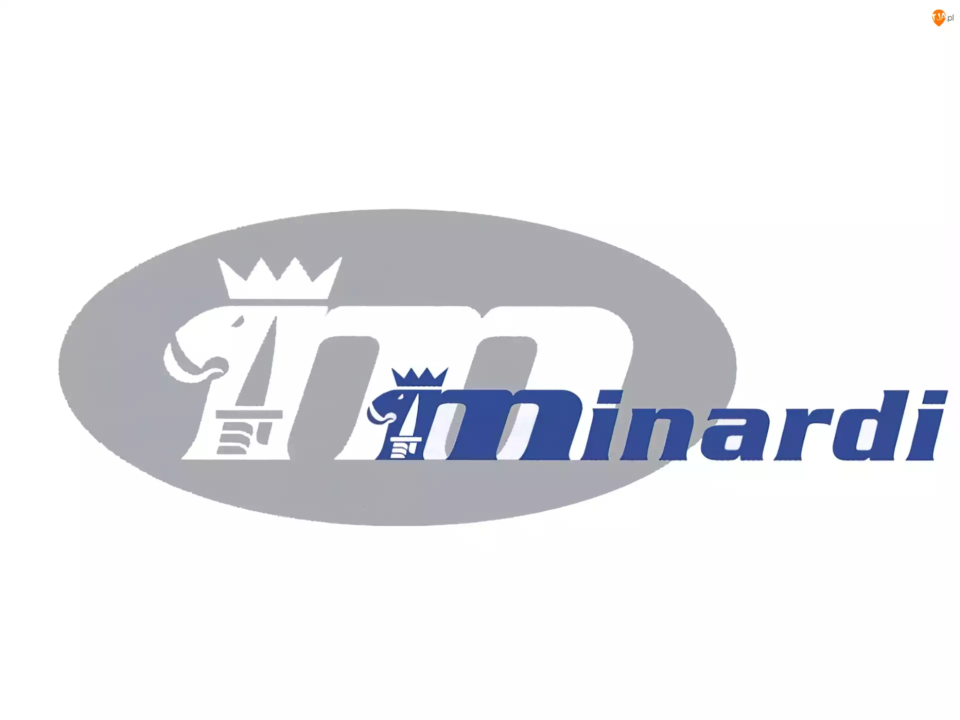 Formuła 1, Minardi
