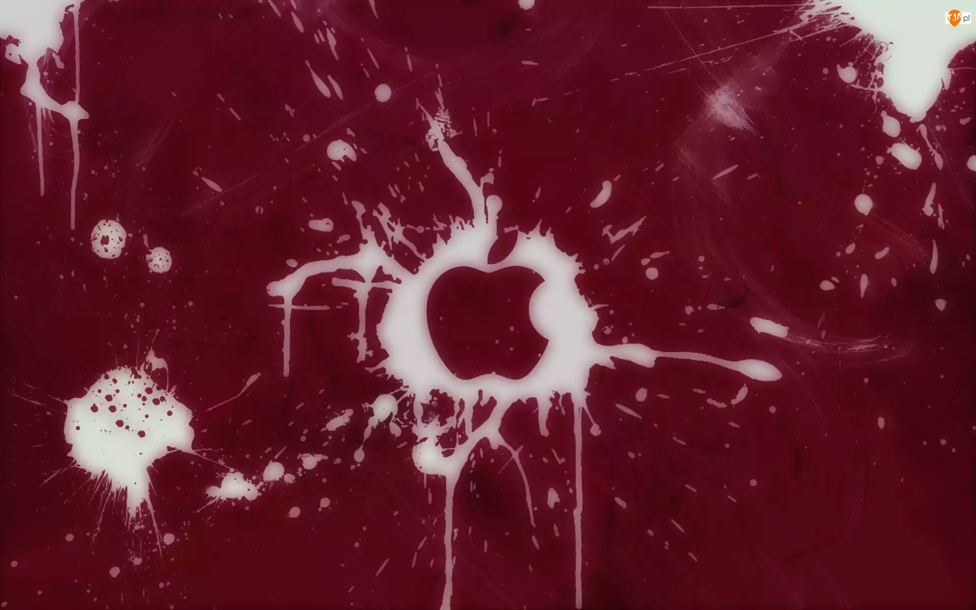 Plama, Apple, Farby, Logo