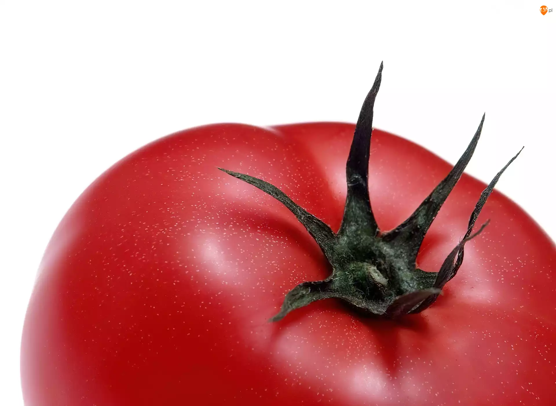 Pomidor, Czerwony