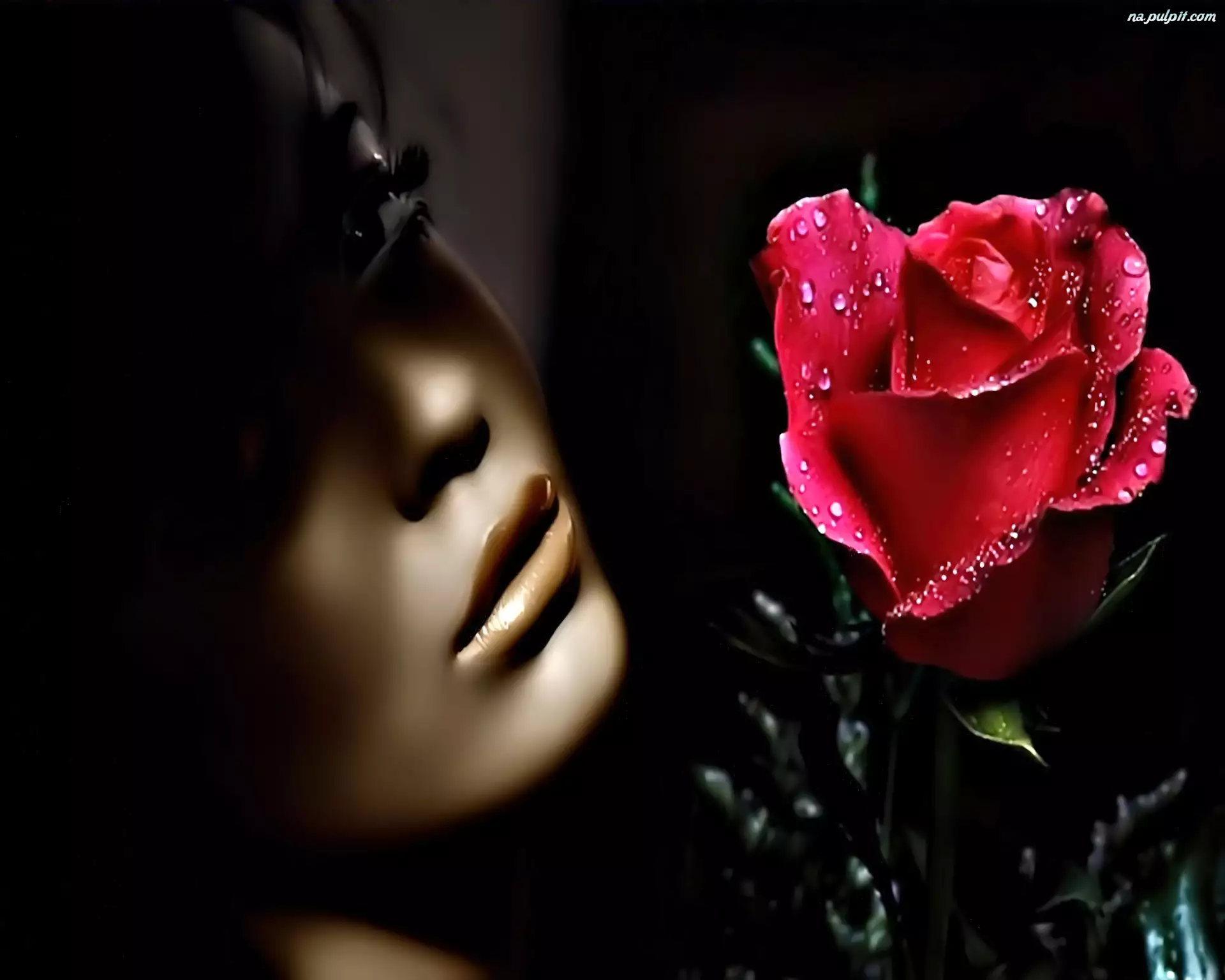 Róża, Kobieta, Twarz