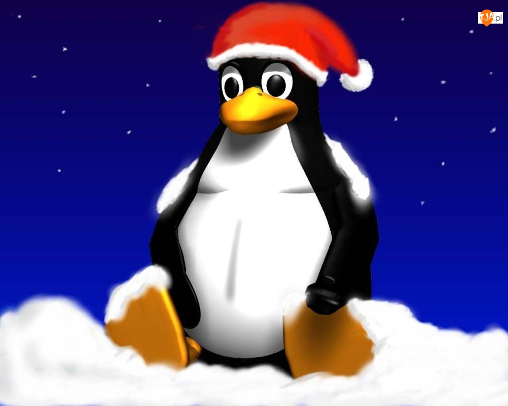 Święta, Pingwin, Linux