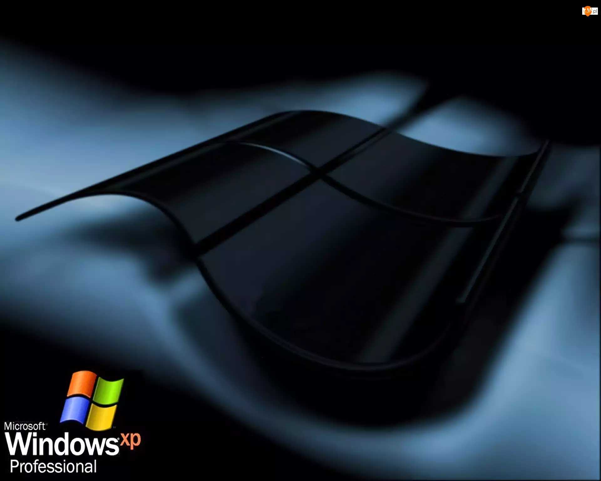 Windows XP, Logo