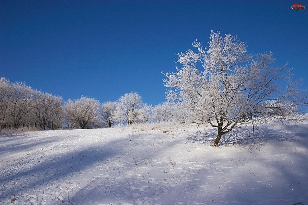 Krajobraz, Zimowy