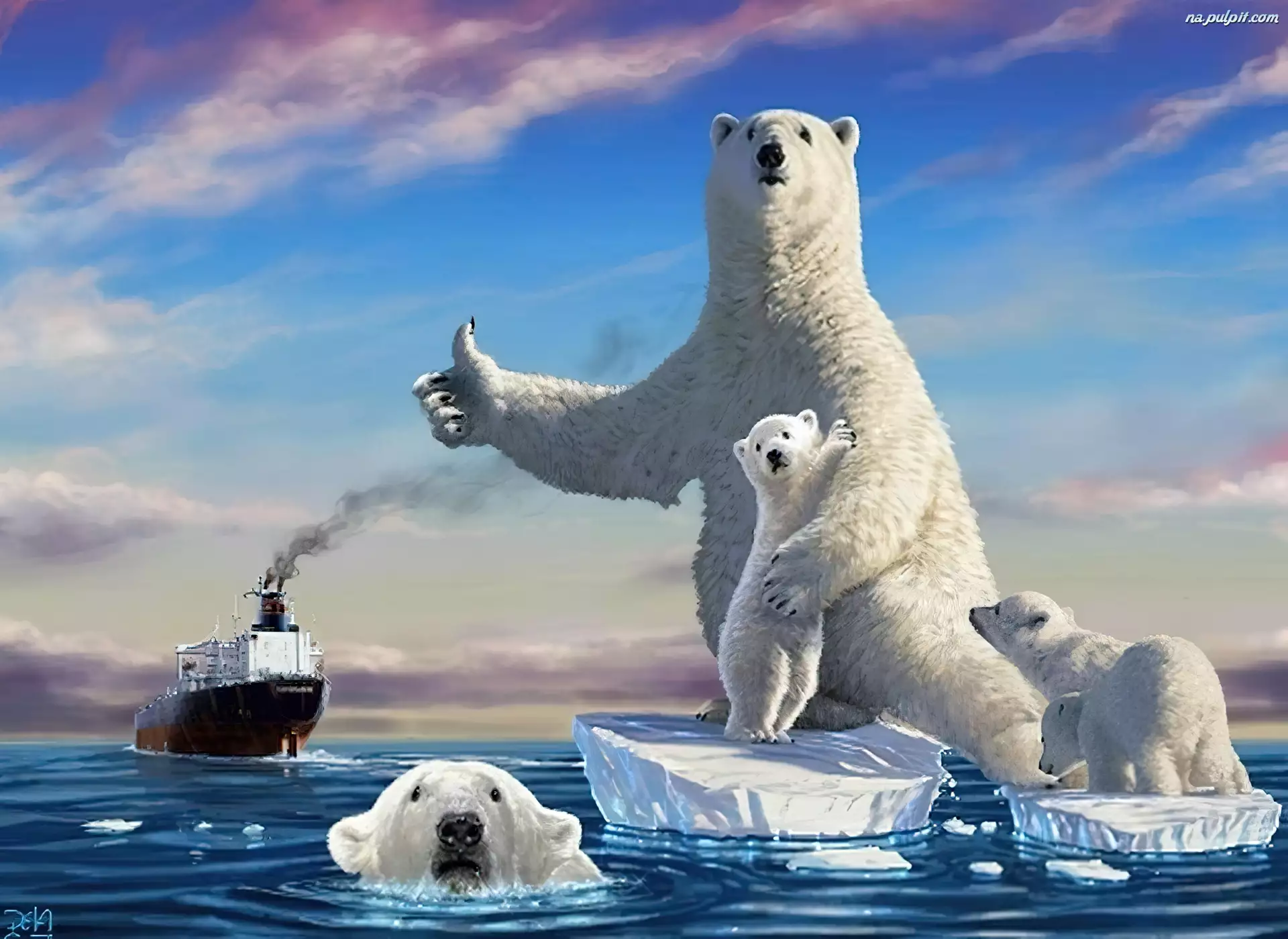 Kra, Niedźwiedź, Polarny