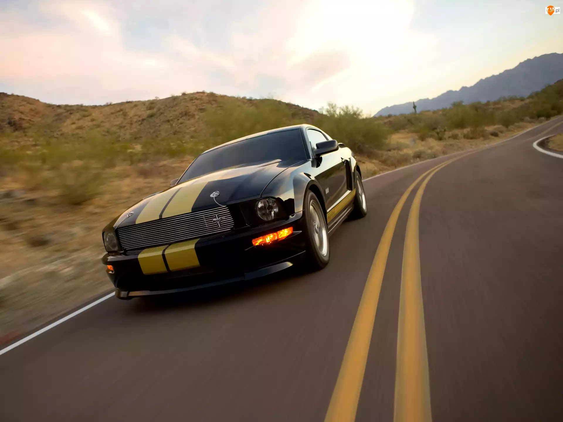 Droga, Ford Mustang Shelby GT