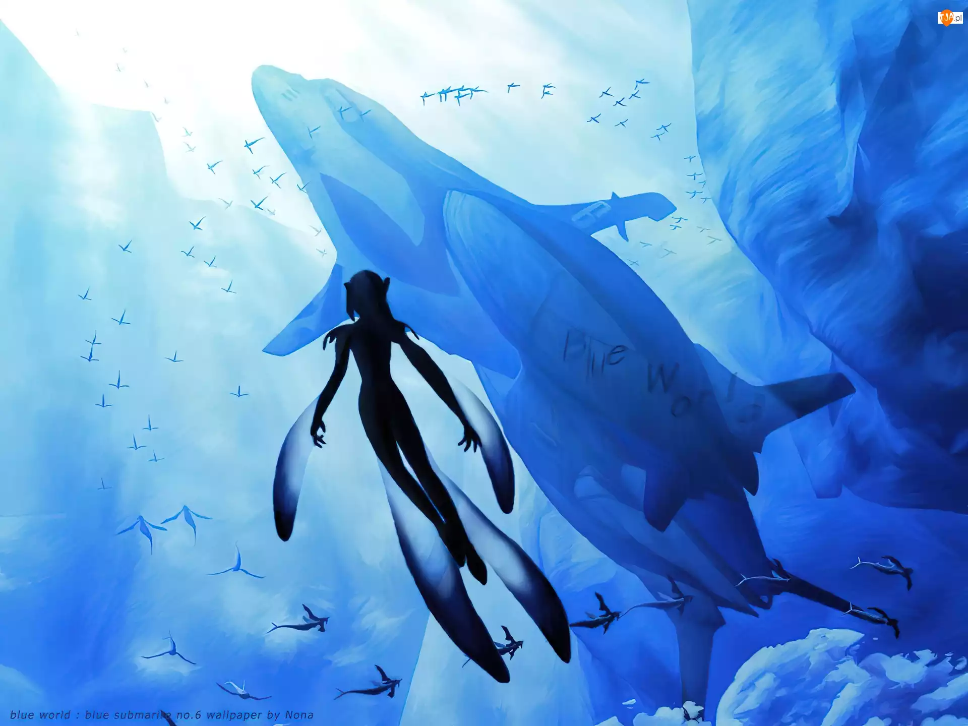 zwierzęta, Blue Submarine, pod wodą, postacie