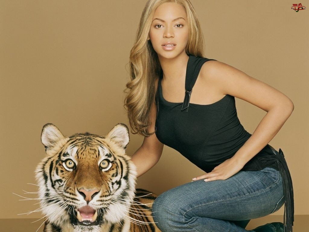 Tygrys, Beyonce Knowles