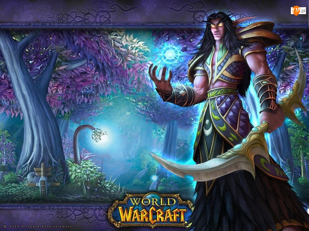 elf, fantasy, mężczyzna, World Of Warcraft, wojownik