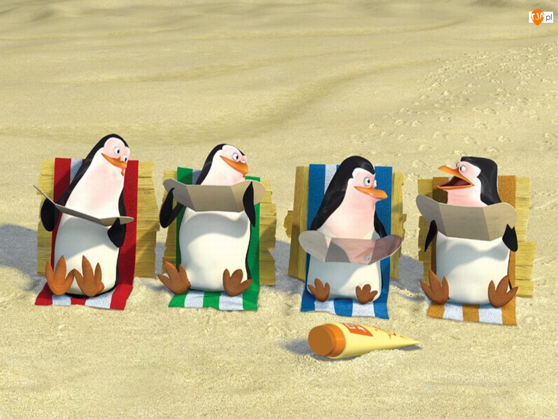 Plaża, Pingwiny Z Madagaskaru, The Penguins of Madagascar, Pingwiny