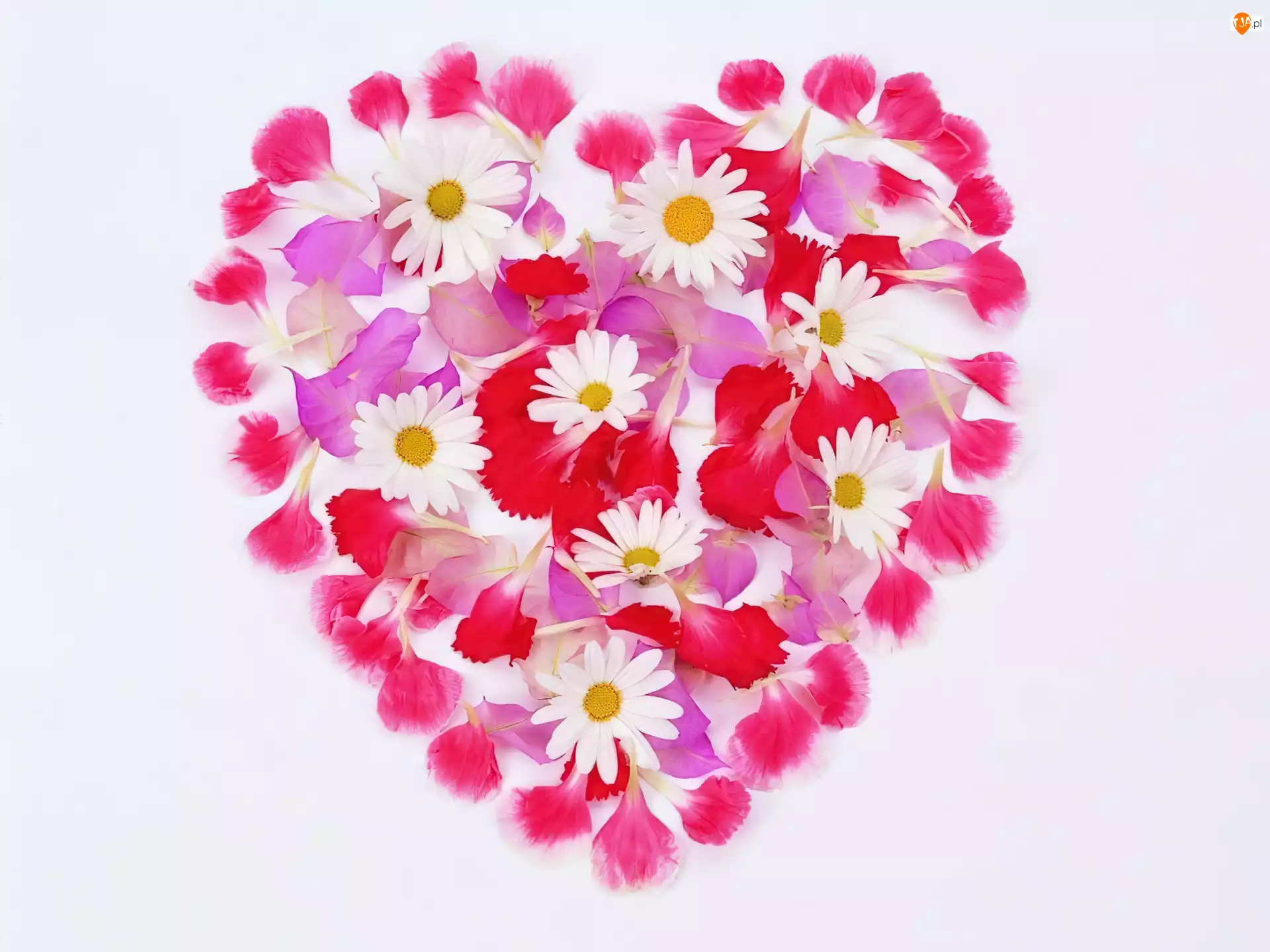 Walentynki, Kwiatki, Serce