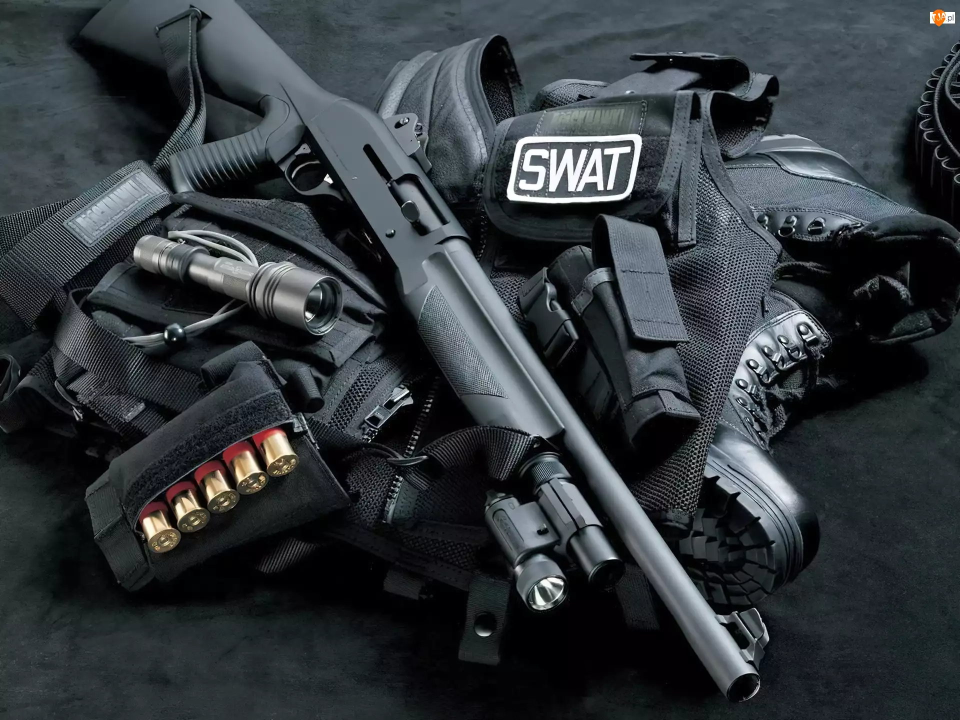 SWAT, Shotgun, Ekwipunek, Grupa