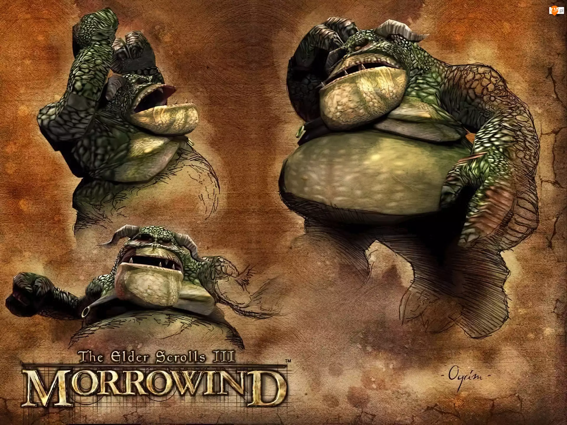 The Elder Scrolls III: Morrowind, Screen