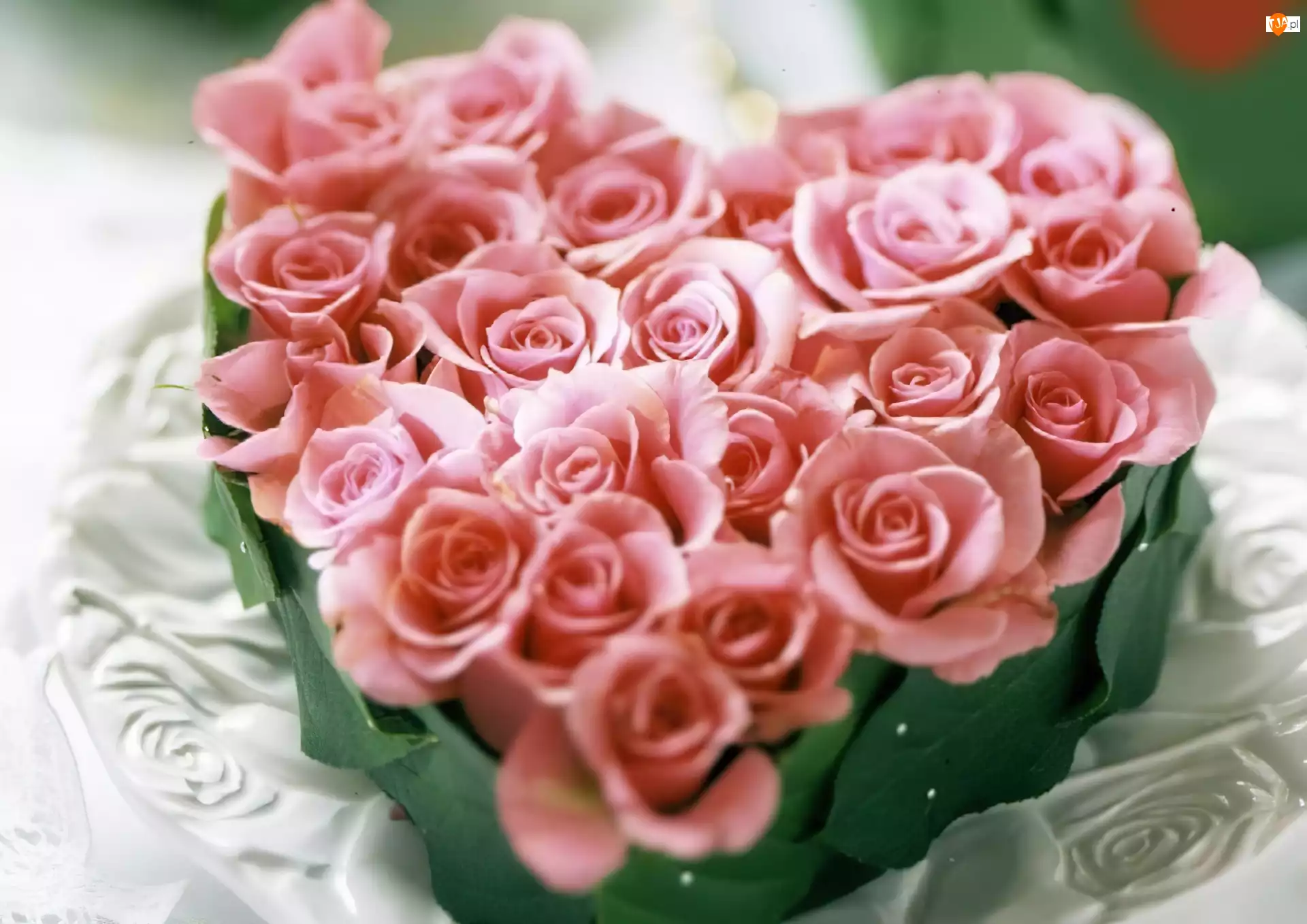 Miłość, Serce, Pączki, Róż