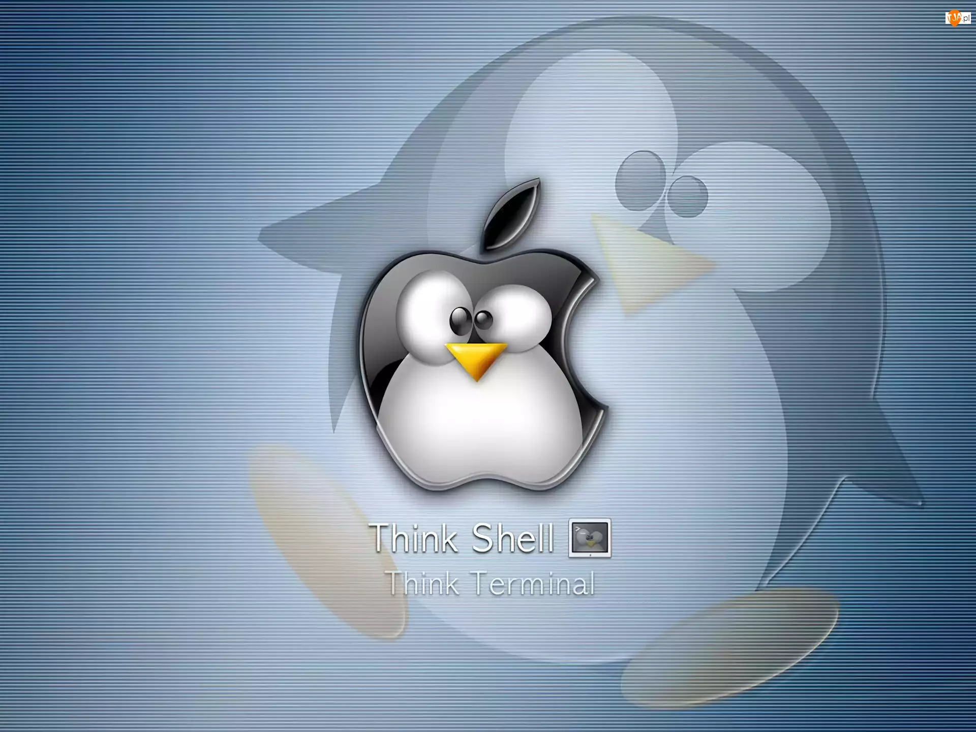 pingwin, Linux, jabłko, grafika