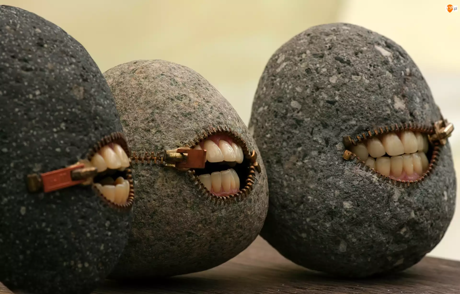 Kamienie, Zęby