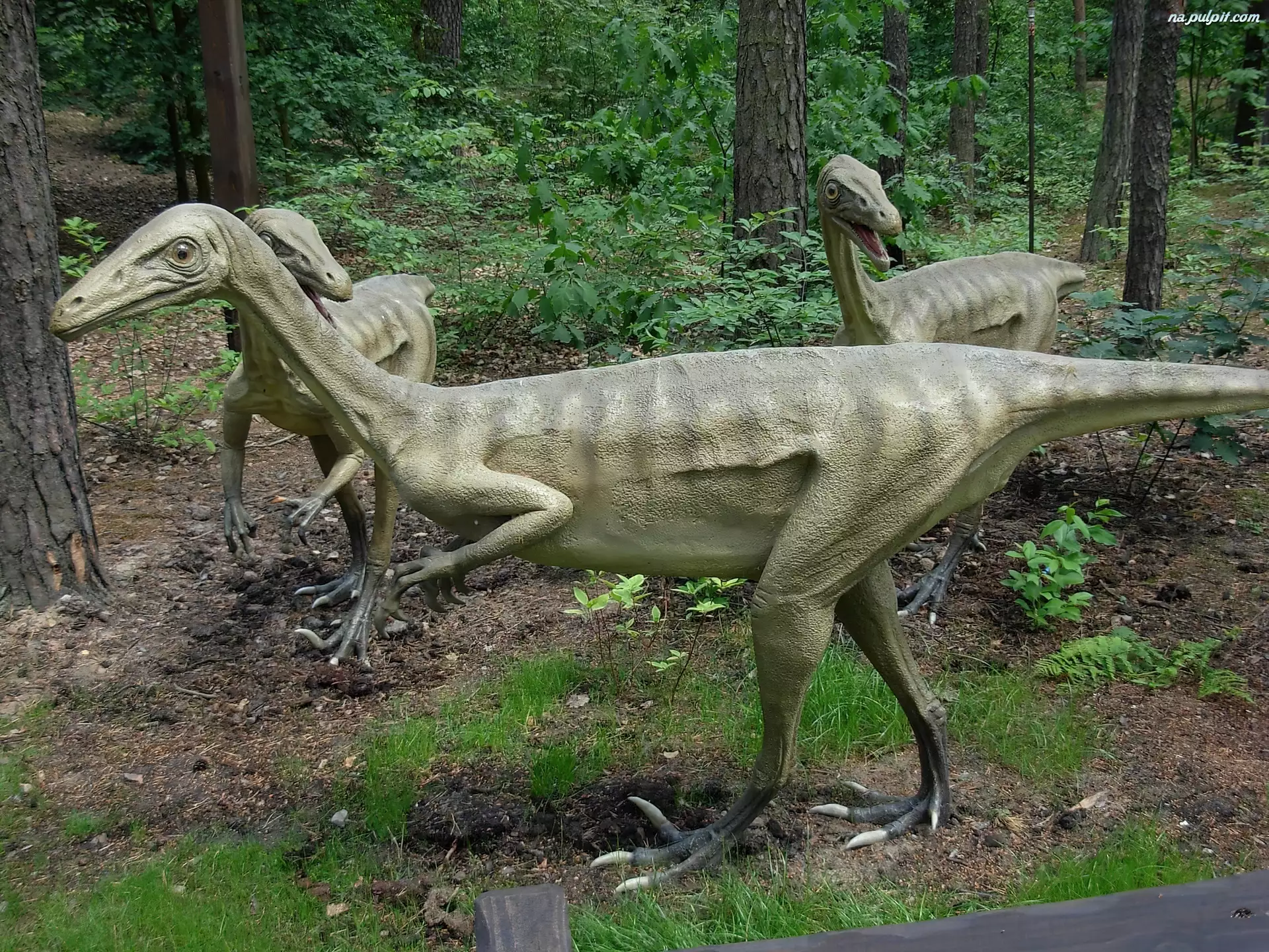 Troodon, Figurka