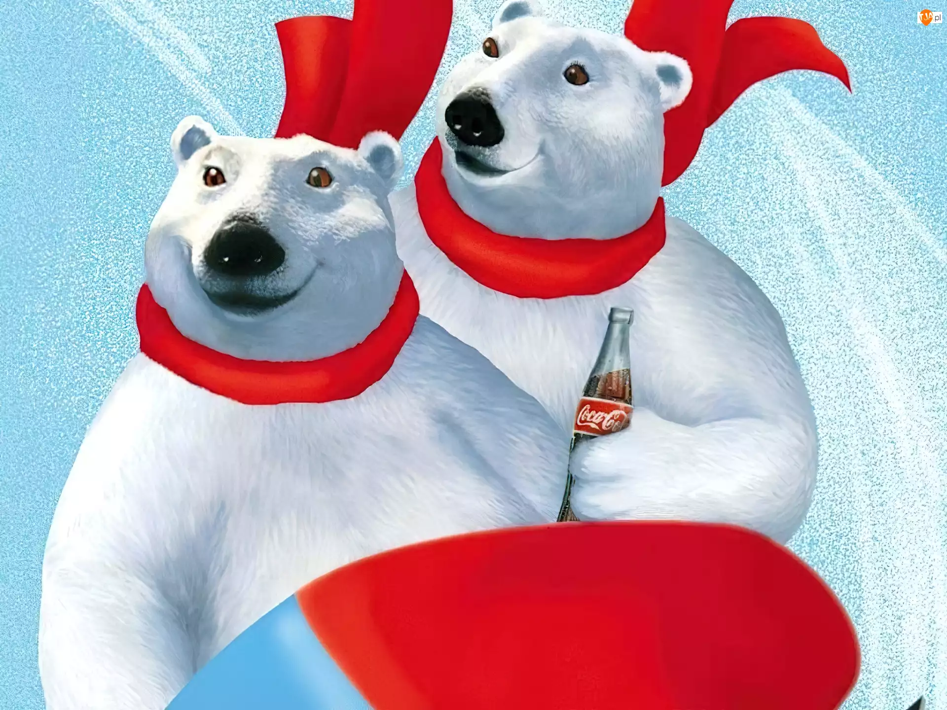 niedźwiadki, Boże Narodzenie, coca Cola