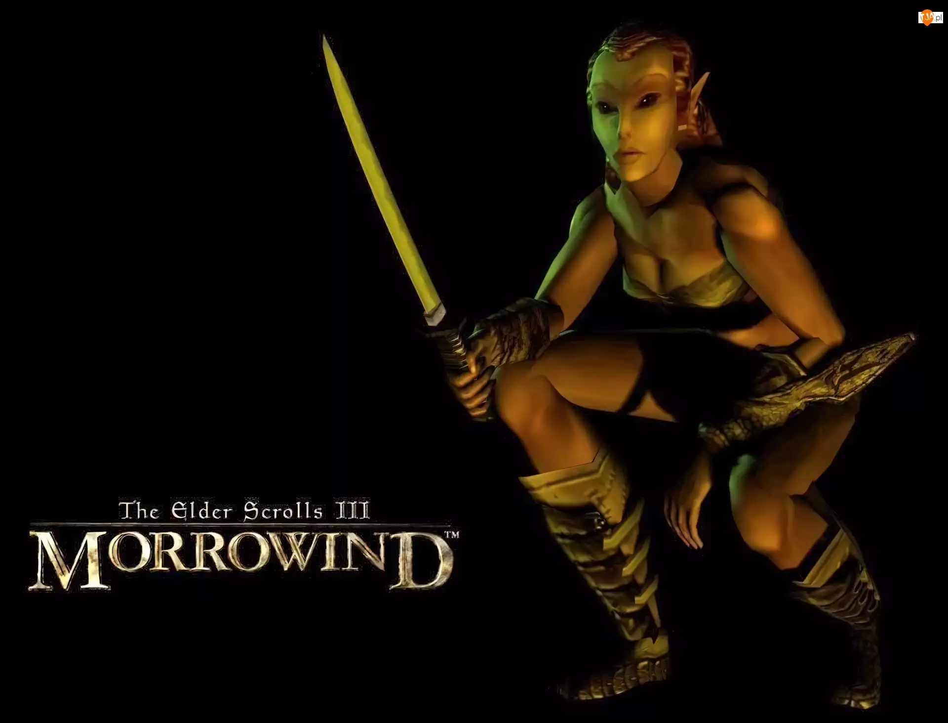 The Elder Scrolls III: Morrowind, Elf