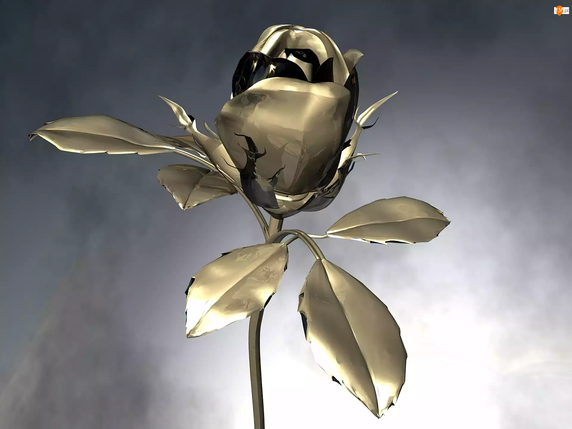 3D, Złota, Róża