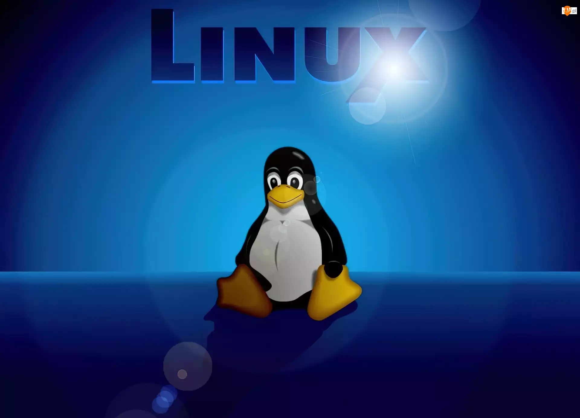 Linux, Tło, Pingwin, Niebieskie