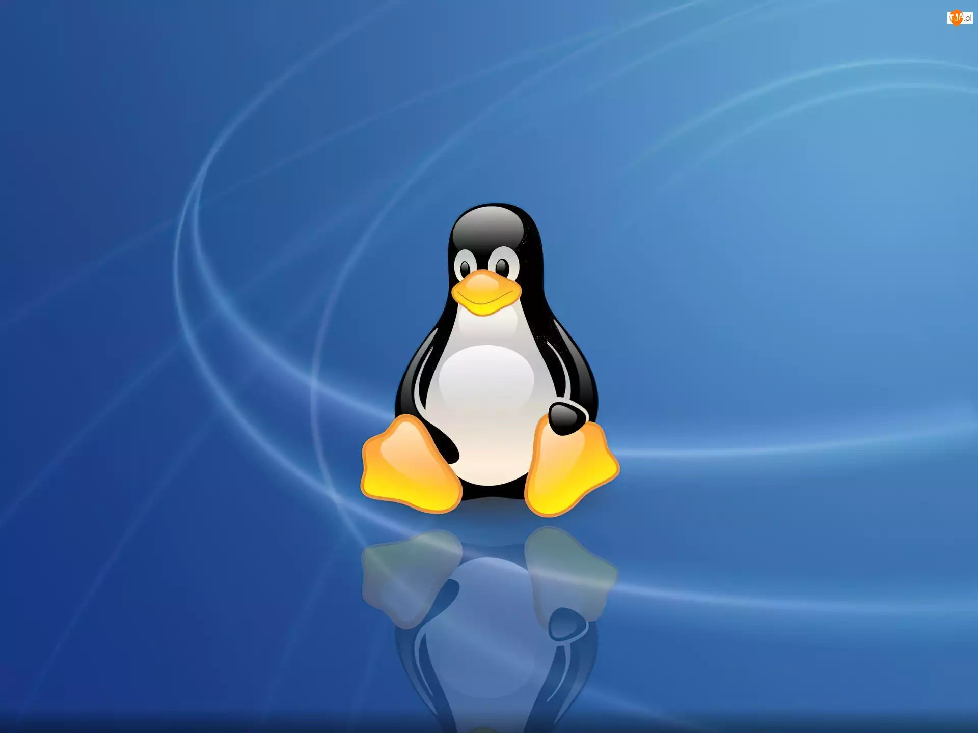 Pingwin, Linux, Niebieskie, Tło