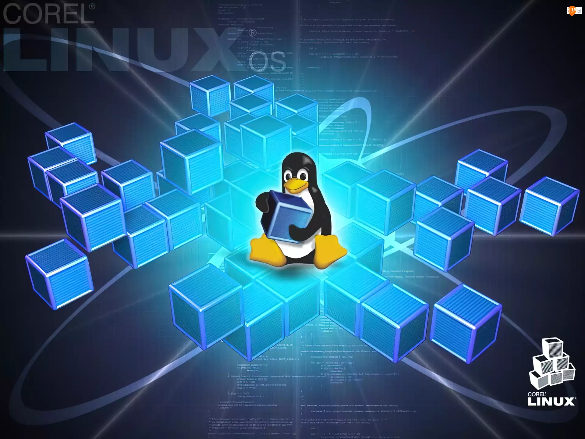 Klocki, Linux, Pingwin