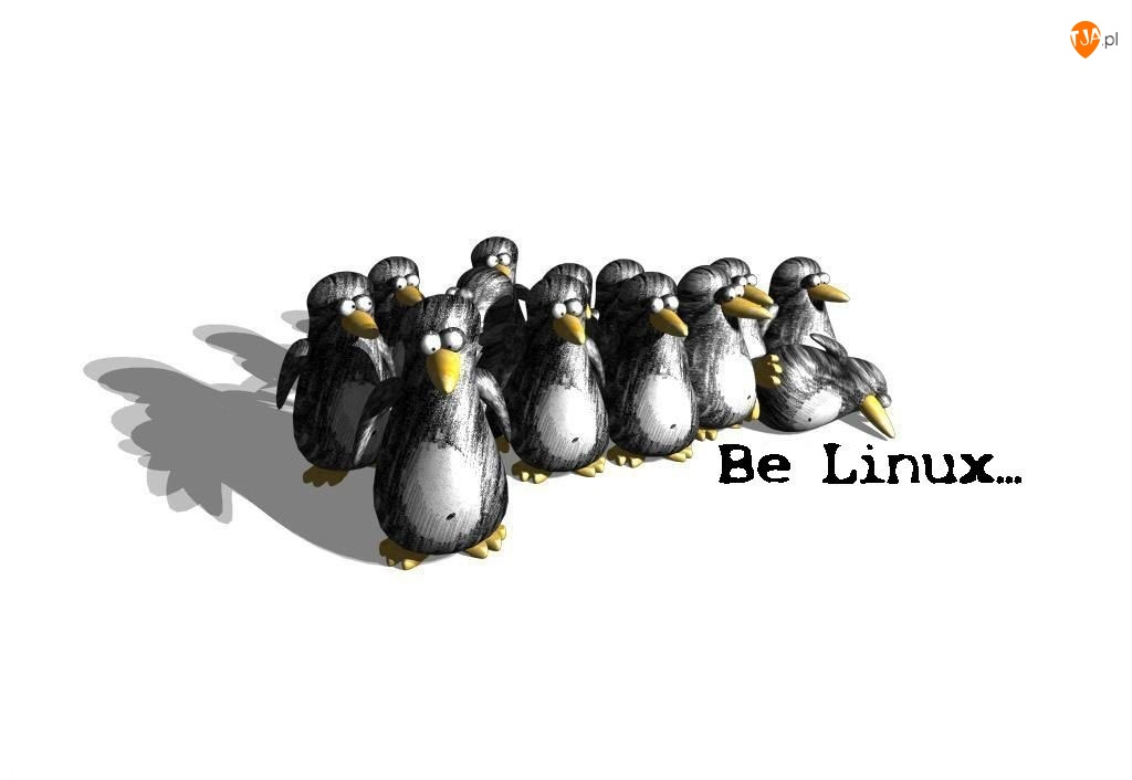 System, Pingwinów, Linux, Gromadka