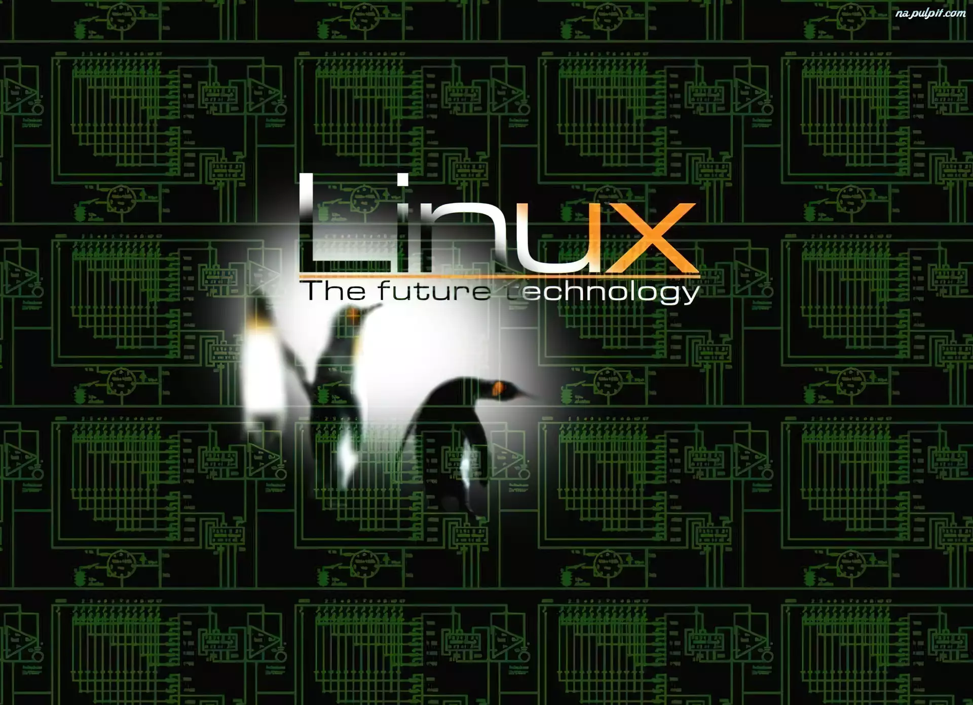 Linux, System