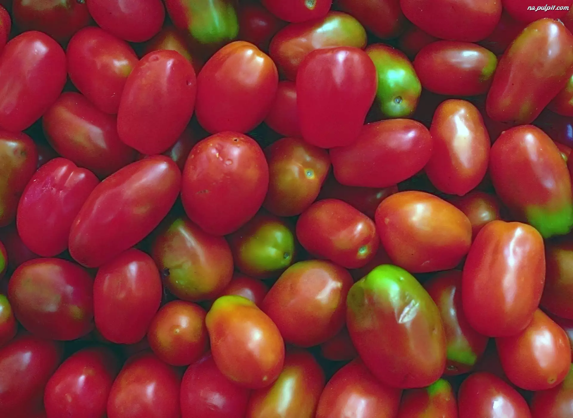 Czerwono, Pomidory, Zielone, Podłużne