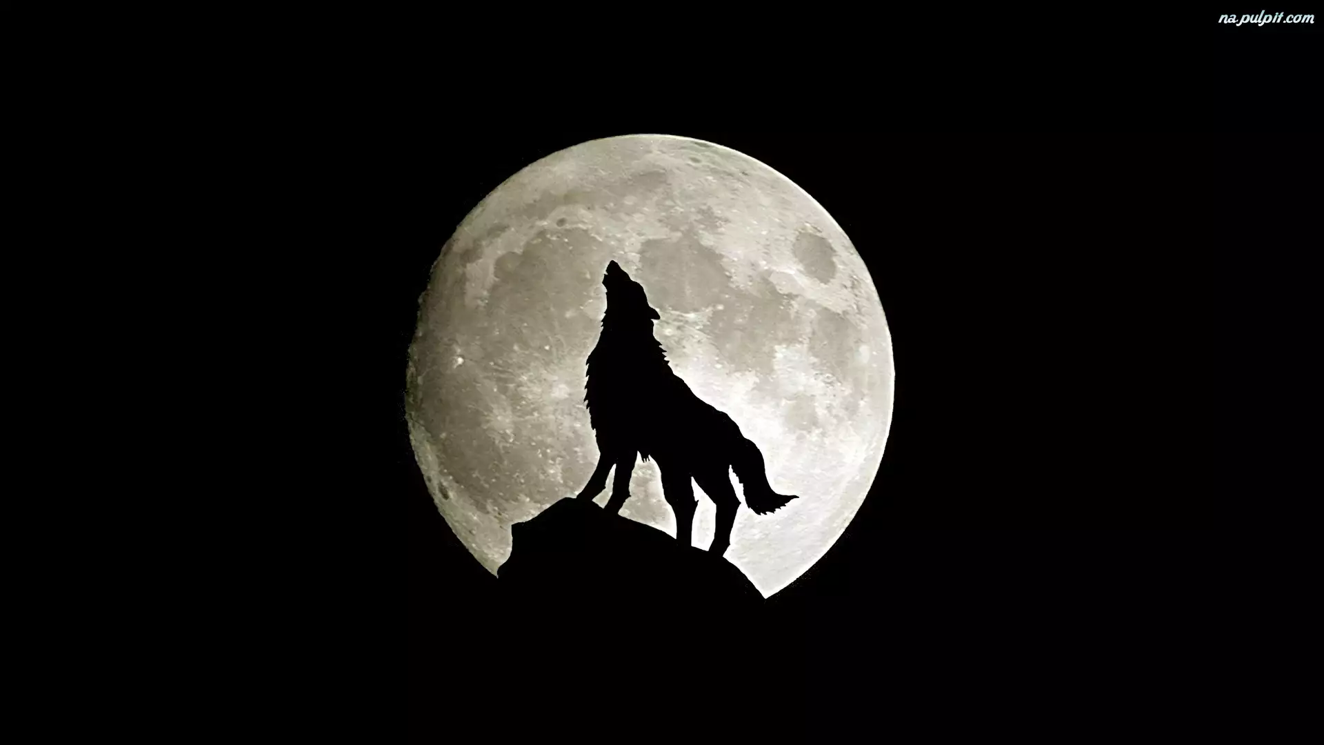 Księżyc, Wilk