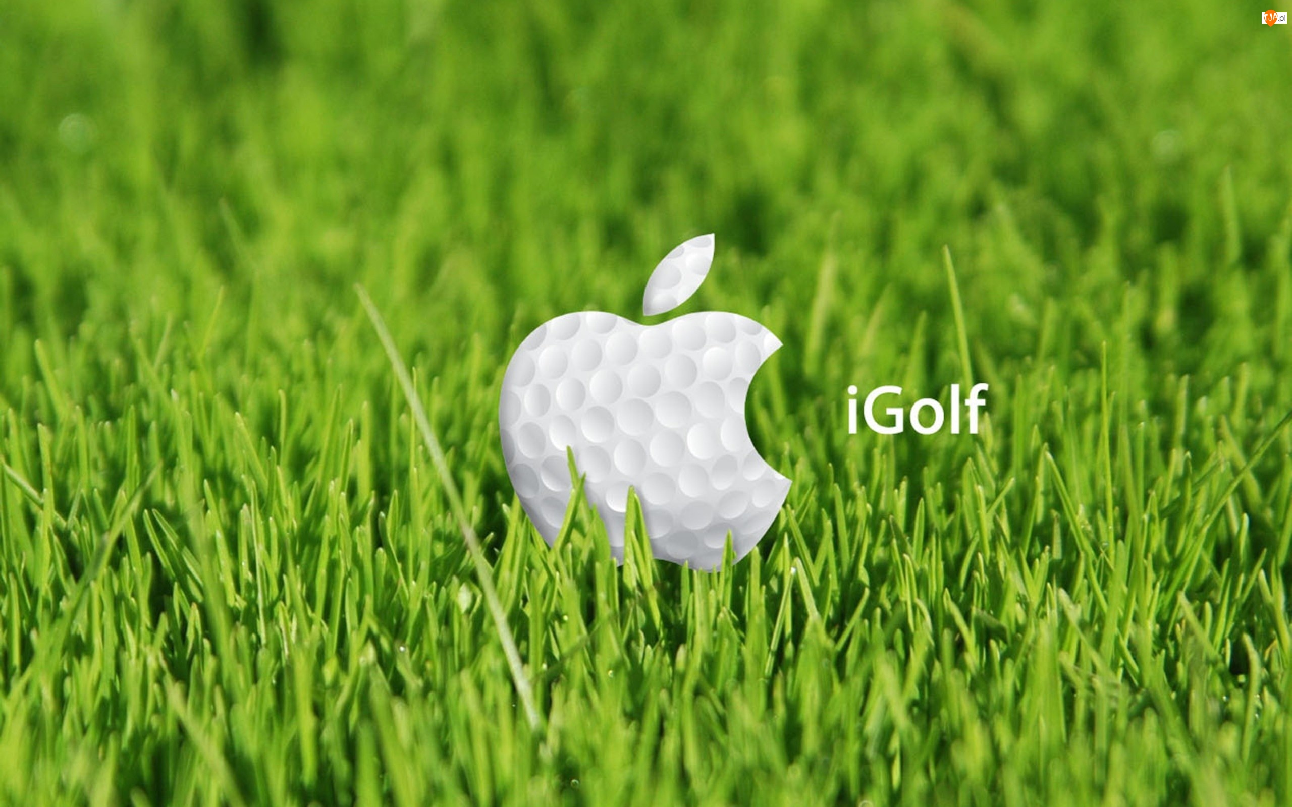 Golf, Apple
