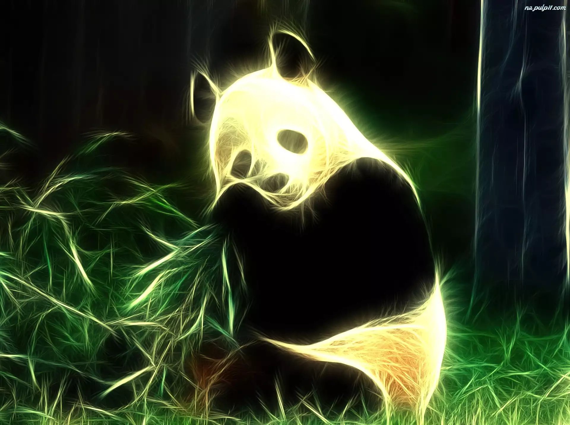 Panda, Fraktalius