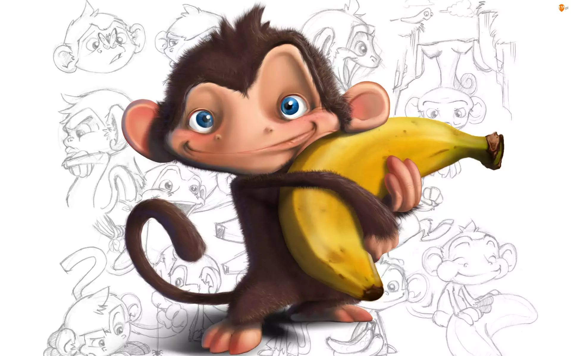 Banan, Małpa