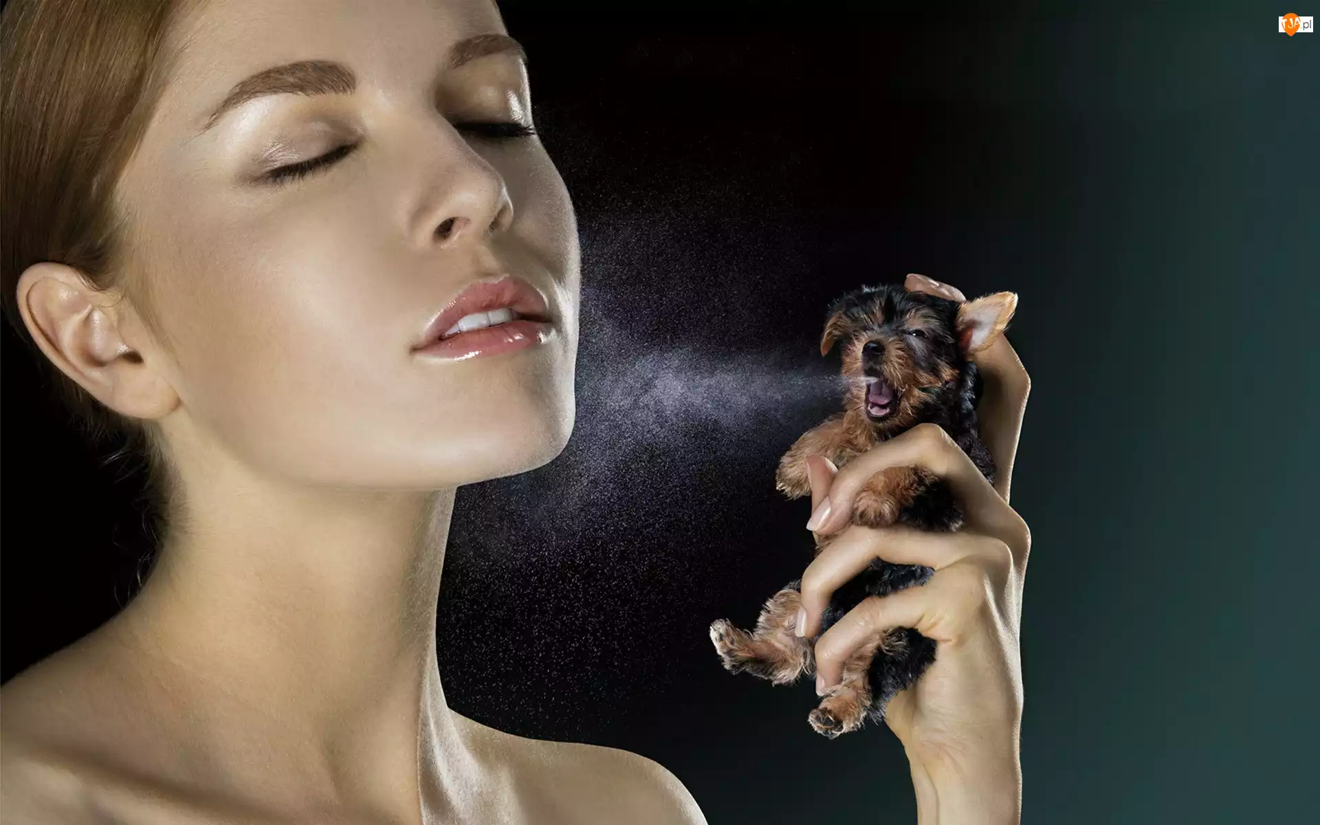 Perfumy, Kobieta, Pies