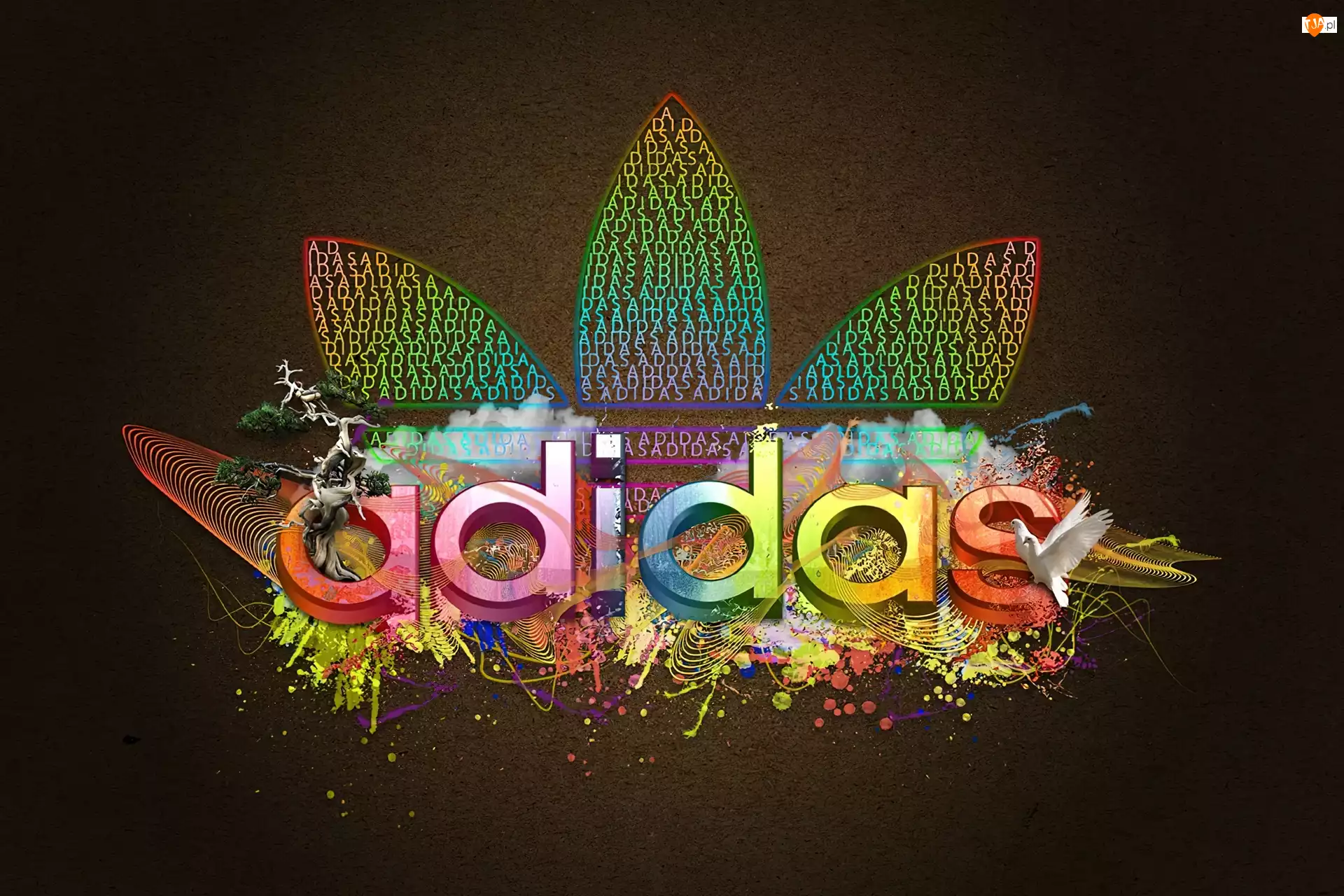 Kolorowe, Ptaki, Logo, Adidasa