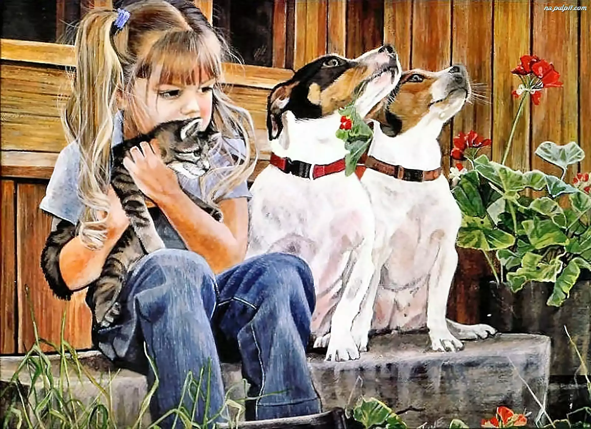 Dziewczynka, Psy, Kot, Dwa