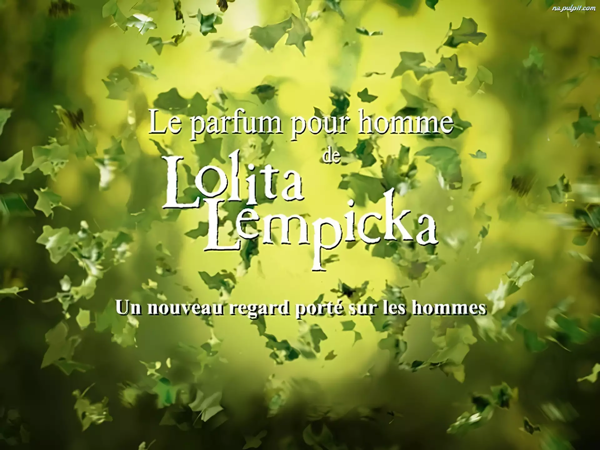 bluszcz, Lolita Lempicka, liście